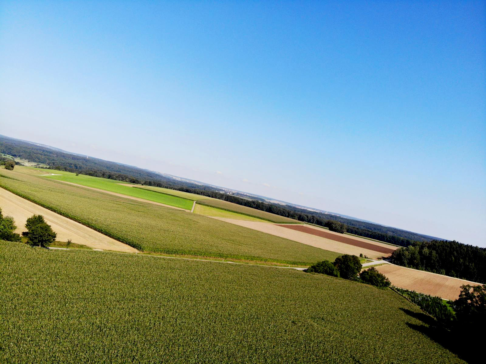 Blick auf Felder